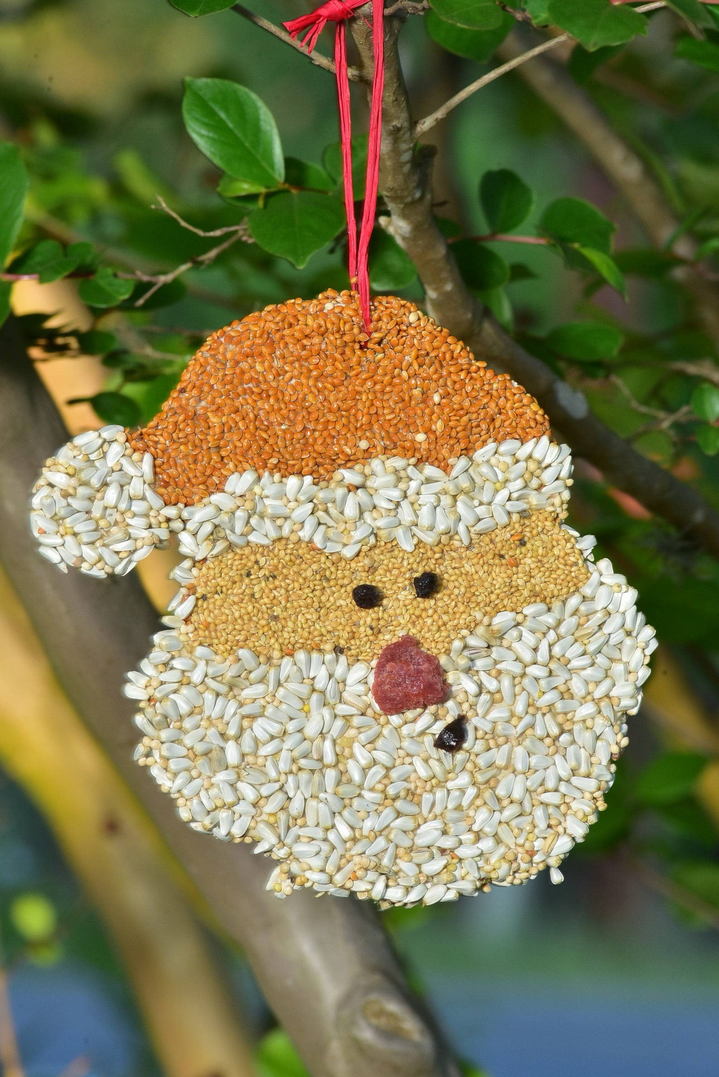 Mr Bird - Santa Christmas Cookie